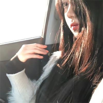 战犬瑞克斯
